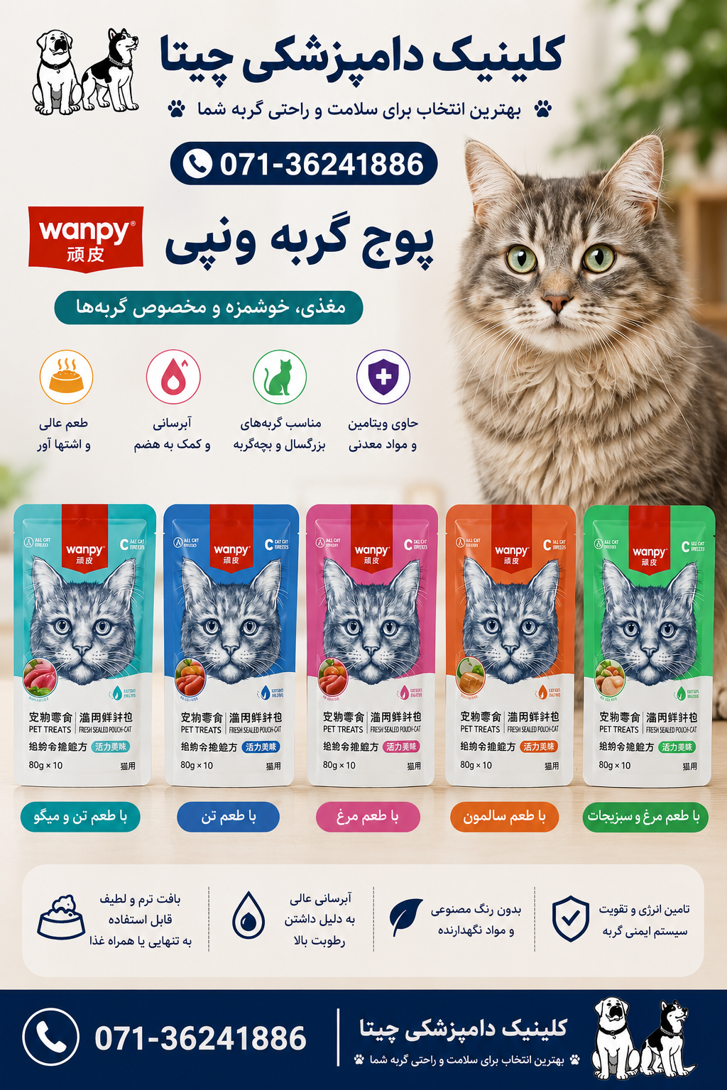 پوچ ونپی