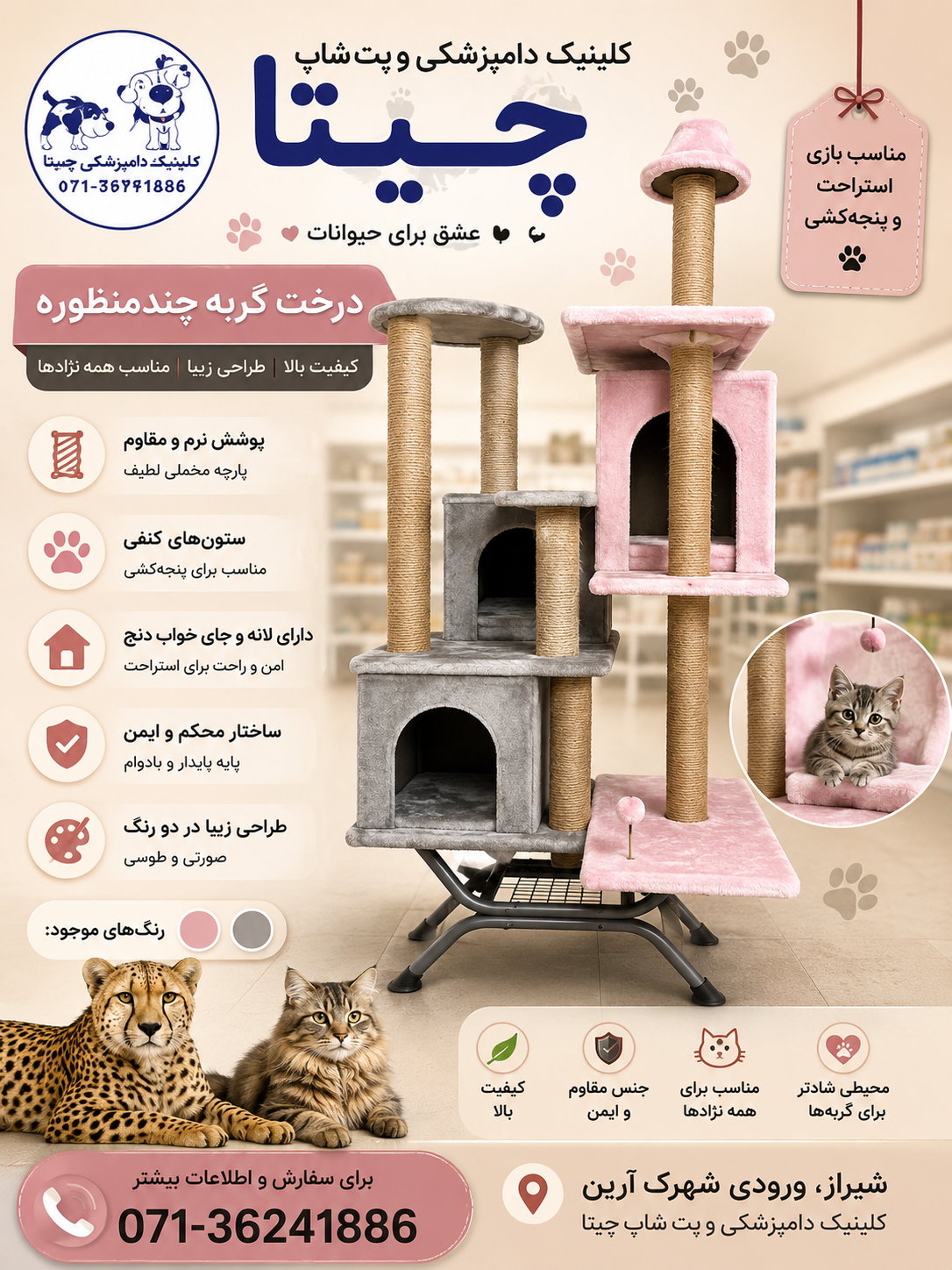 درخت گربه