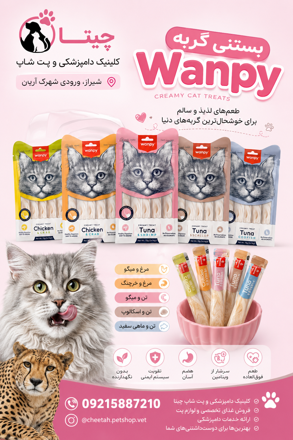 بستنی گربه