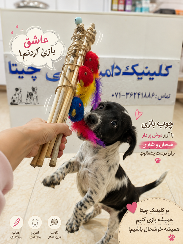 چوب بازی گربه با آویز موش پر دار