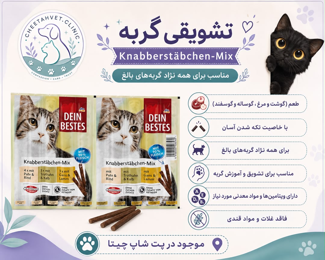 تشویقی مدادی گربه